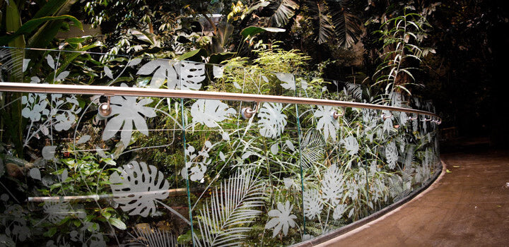 eco friendly glass coating Montreal Biodome