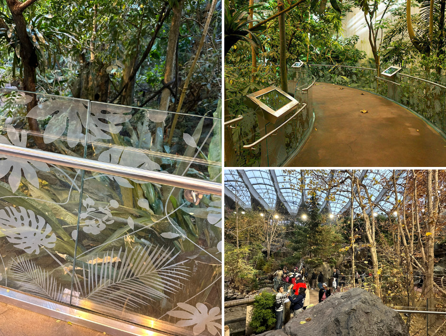 Montreal Biodome 2